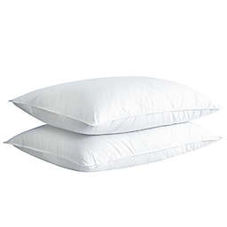 Feather and Loom White Duck Down and Feather Pillows (Set of 2)