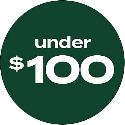 under $100