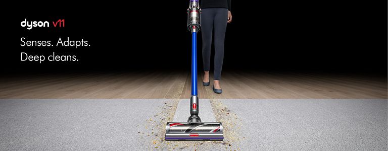 bed bath beyond dyson v11