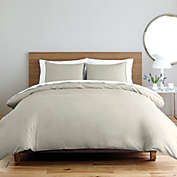 Nestwell&trade; Solid Sateen 3-Piece Full/Queen Comforter Set in Silver Birch