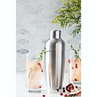 Alternate image 1 for Our Table&trade; Preston Stainless Steel Cocktail Shaker in Matte Silver