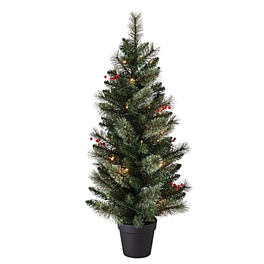 H for Happy&trade; 4-Foot Potted Porched Christmas Trees with White LED Lights (Set of 2). View a larger version of this product image.