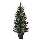 Alternate image 2 for H for Happy&trade; 4-Foot Potted Porched Christmas Trees with White LED Lights (Set of 2)