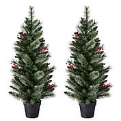 H for Happy&trade; 4-Foot Potted Porched Christmas Trees with White LED Lights (Set of 2)