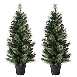 H for Happy™ 4-Foot Potted Porched Christmas Trees with White LED Lights (Set of 2)
