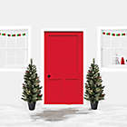 Alternate image 1 for H for Happy&trade; 4-Foot Potted Porched Christmas Trees with White LED Lights (Set of 2)