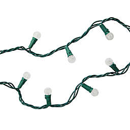 H for Happy™ 50-Count Holiday String Lights in Warm White