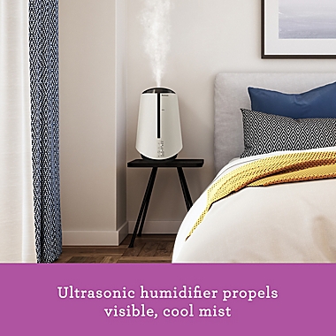 Holmes&reg; 1-Gallon Ultrasonic Humidifier in Silver. View a larger version of this product image.
