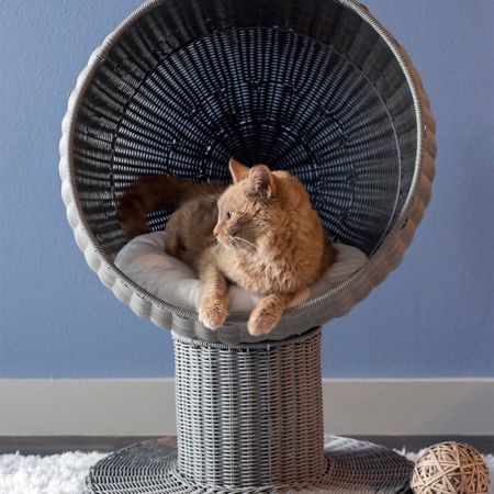 The Mid-Century Modern Cat: Retro-Chic Feline Furniture