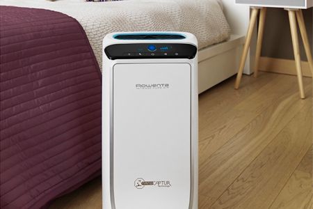 Go-To Guide: Air Purifiers