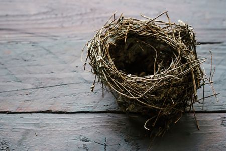 The Empty Nester’s Guide to Moving On and Letting Go