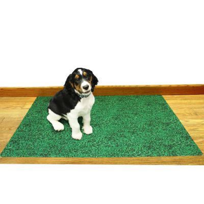 bed bath and beyond dog steps