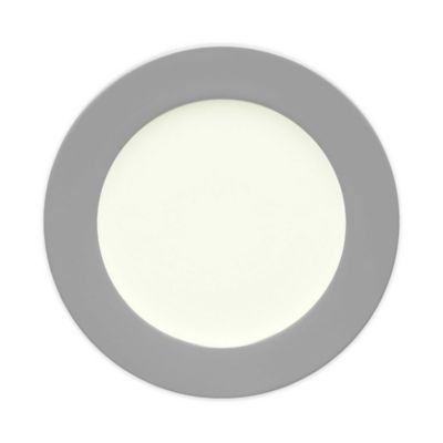 Noritake&reg; Colorwave Rim Dinner Plate in Slate