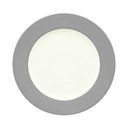 Noritake® Colorwave Rim Dinner Plate in Slate