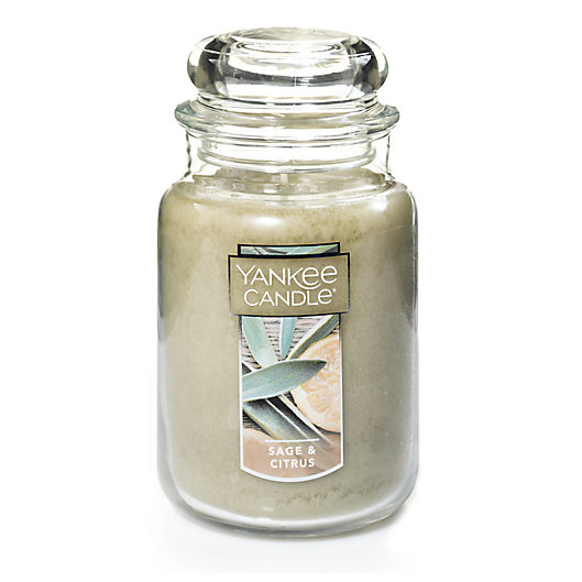 Alternate image 1 for Yankee Candle® Housewarmer® Sage & Citrus Large Classic Jar Candle