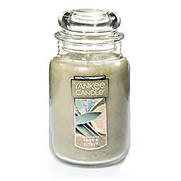 Yankee Candle® Housewarmer® Sage & Citrus Large Classic Jar Candle