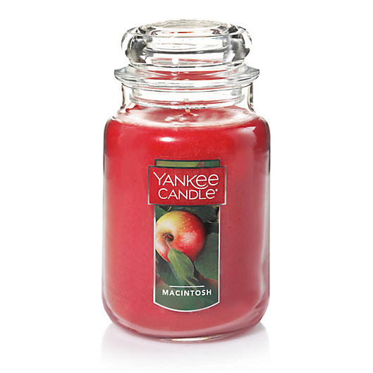 Alternate image 1 for Yankee Candle® Housewarmer® Macintosh Large Classic Jar Candle