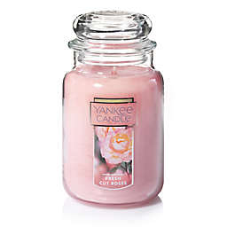 Yankee Candle® Housewarmer® Fresh Cut Roses Large Classic Jar Candle