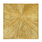 Madison Park Sunburst Palm 30-Inch Round Box Wall Art in Gold