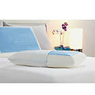Alternate image 1 for Therapedic&reg; Cooling Gel &amp; Memory Foam Bed Pillow