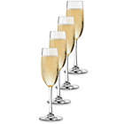 Alternate image 1 for Dailyware&trade; Toasting Flutes (Set of 4)
