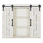 Kate and Laurel&trade; Cates 30-Inch x 27-Inch Decorative Wood Wall Cabinet in White