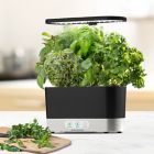 Alternate image 3 for AeroGarden&trade; Harvest with Gourmet Herb Seed AeroGarden Pods Kit