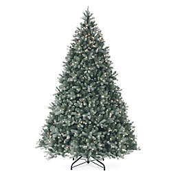 National Tree Company 6.5-Foot Pre-Lit Douglas Blue Fir Christmas Tree