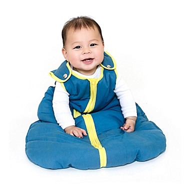 Baby Deedee&reg; Size 6-18M Moonlight Sun Sleep Nest&reg; in Blue. View a larger version of this product image.
