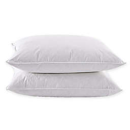 Puredown White Goose Feather And Down Bed Pillows (Set of 2)