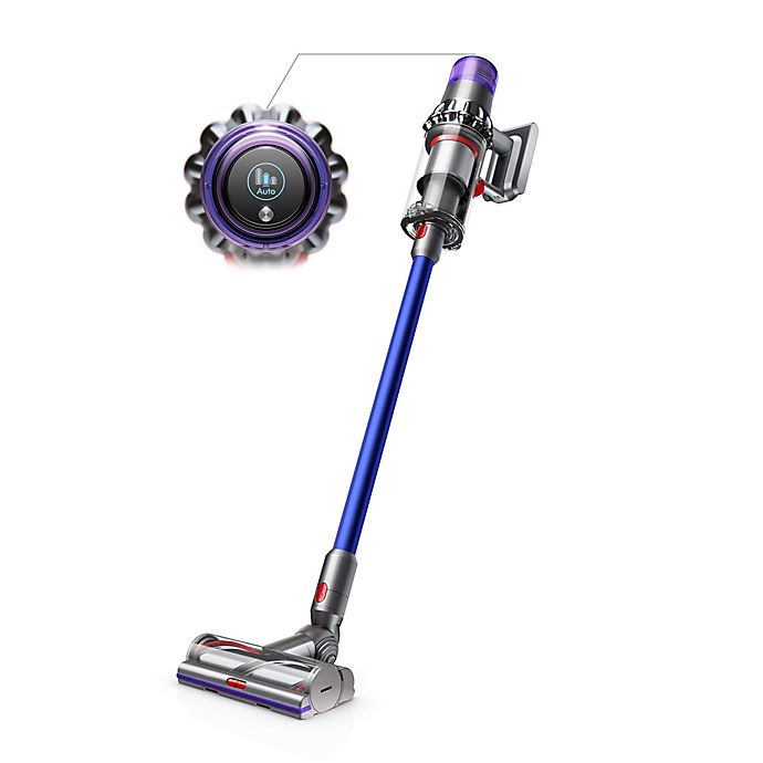 dyson vacuum bed bugs