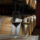 Alternate image 5 for Schott Zwiesel Tritan Pure 8-Piece Wine Glass Set