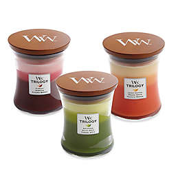 WoodWick® Trilogy 10 oz. Jar Candles