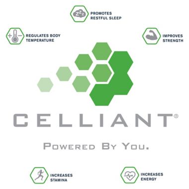 Therapedic&reg; Celliant&reg; 400-Thread-Count King Pillowcases in Blue (Set of 2). View a larger version of this product image.