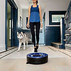 Alternate image 3 for bObsweep PetHair Plus Robotic Vacuum Cleaner and Mop