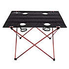 Alternate image 1 for Wakeman&reg; Outdoors Folding Camp Table in Black