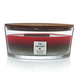 WoodWick® Trilogy Winter Garland Large Oval Jar Candle