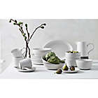 Alternate image 1 for Bee &amp; Willow&trade; Milbrook Appetizer Plates in White (Set of 4)