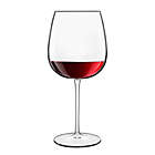 Alternate image 1 for Luigi Bormioli Talismano Burgundy Wine Glasses (Set of 4)