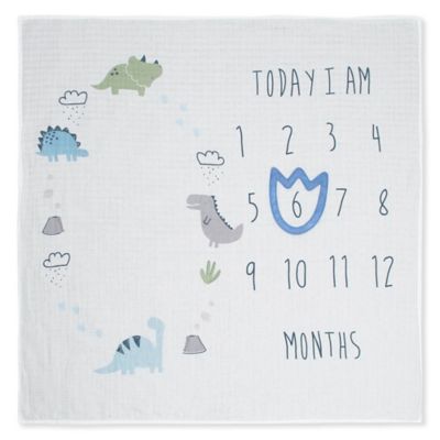 gerber milestones