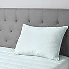 Alternate image 1 for Sealy&reg; Instant Cool Cotton Standard/Queen Pillow