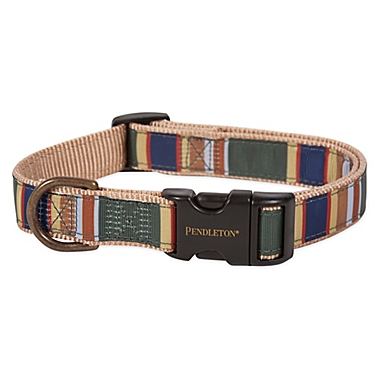 Pendleton&reg; Woolen Mills Badlands National Park Dog Collar. View a larger version of this product image.