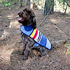 Alternate image 1 for Pendleton&reg; Woolen Mills Yosemite National Park Dog Coat