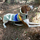 Alternate image 1 for Pendleton&reg; Woolen Mills Rocky Mountain National Park Dog Coat