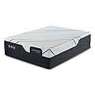Alternate image 4 for iComfort&reg; by Serta CF4000 Firm Mattress Collection