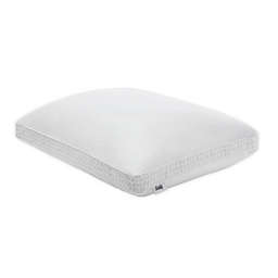 Sealy® Down Alternative and Memory Foam Standard/Queen Pillow