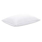 Alternate image 0 for Claritin Cotton Standard/Queen Back/Stomach Pillow