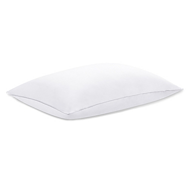 Claritin Cotton Standard/Queen Back/Stomach Pillow. View a larger version of this product image.