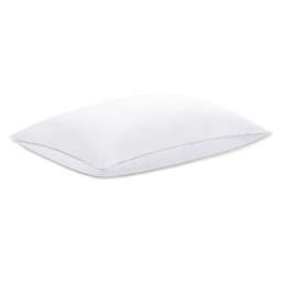 Claritin® Cotton Sateen Back/Stomach Sleeper Bed Pillow