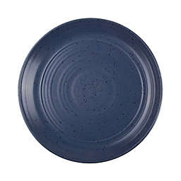 Bee & Willow™ Milbrook Dinner Plates in Blue (Set of 4)